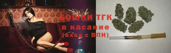 МДПВ Слюдянка