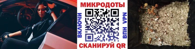 Галлюциногенные грибы GOLDEN TEACHER  Ветлуга 
