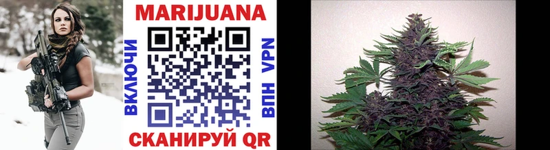 Бошки марихуана LSD WEED  закладка  Ветлуга 